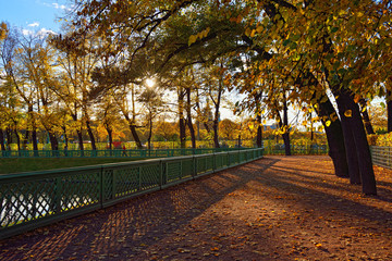 Sunset in Summer garden. Autumn in St.-Petersburg