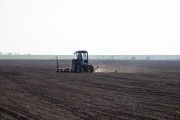 tractor in the field sow