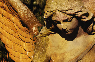face of an angel