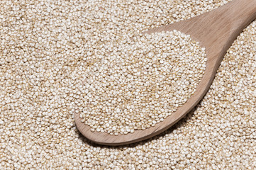 Semillas de quinoa