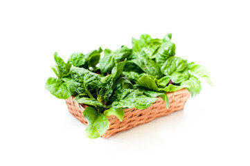 Bunch of green raw spinach leaves on white background