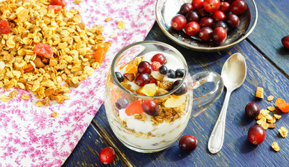 granola with yogurt and candied cranberries, blueberries