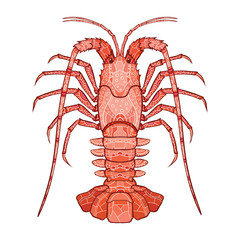Decorative isolated crayfish