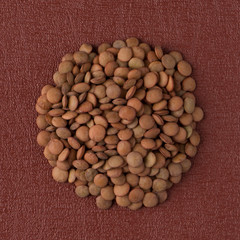 Circle of lentils