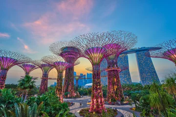 Foto auf Acrylglas Singapur Sonnenuntergang in Singapur Stadt