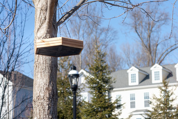 hanging bird feeder