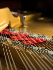 interior of a concert grand piano