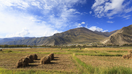 Farm after harvest