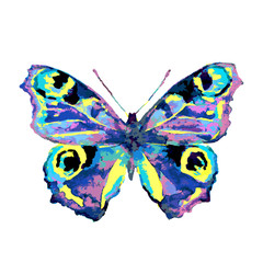 butterfly660