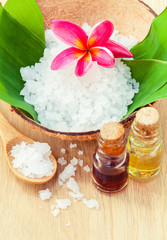 Fototapeta na wymiar Sea Salt - Natural Spas Ingredients for skin care.