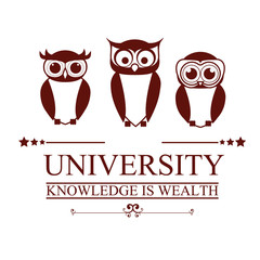 University and Graduation design