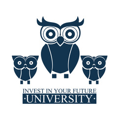 University and Graduation design