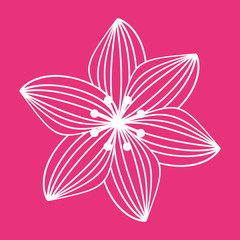 Fototapeta premium floral card