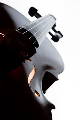 Silhouette of a violin © Netfalls