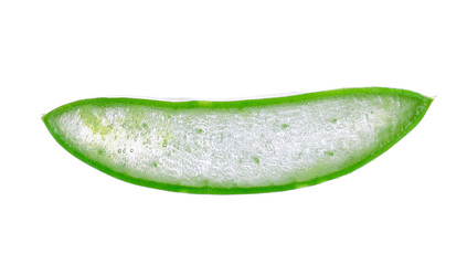 aloe vera isolated on white background