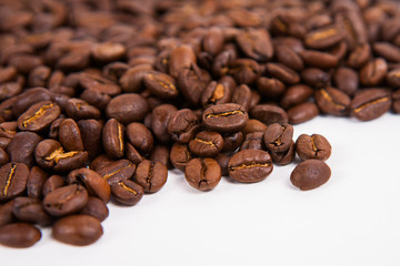 coffee bean on white paper background