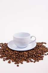 coffee bean on white paper background