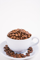 coffee bean on white paper background
