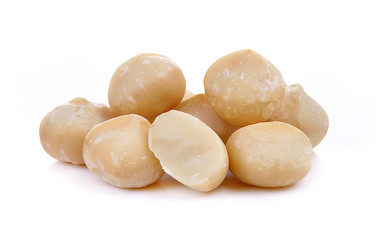 Fototapeta na wymiar macadamia nut isolated on a white background