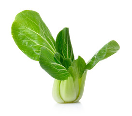 Bok choy isolated on a white background