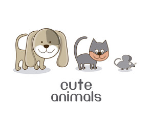 Animals design