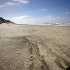 Ringkøbing Fjord 
