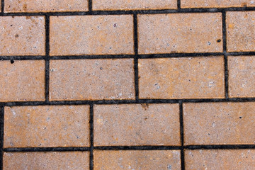 Тротуарная плитка текстура