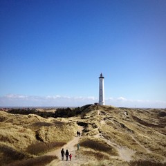 Ringkøbing Fjord 