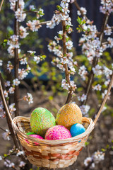 Easter eggs in a basket on a flowering tree