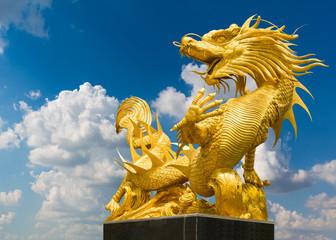 Naklejka premium Golden dragon