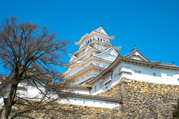 Fototapeta premium 姫路城