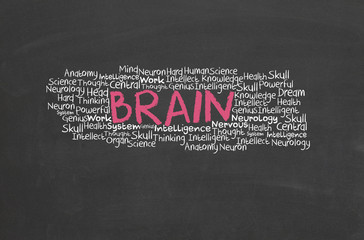 Brain with overlay text design