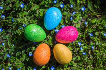 Easter eggs in the grass