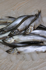 fresh capelin