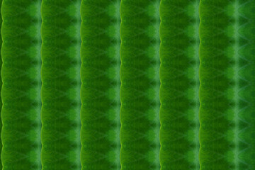 Create from leaf.(Wallpaper concept)