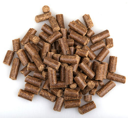 Pet food isolated on white background