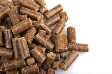 Pet food isolated on white background