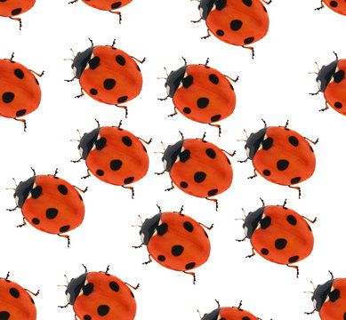 seven ponts ladybug seamlesse background
