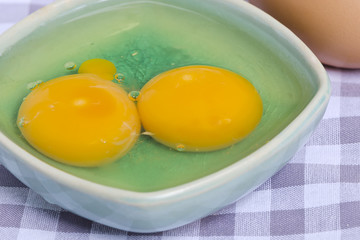 twin eggs