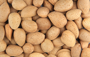 Almond nuts