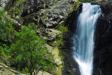 Naklejka na ściany i meble Waterfall in the gold coast hinterlands on the NSW border.
