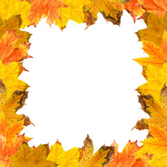 Naklejka na ściany i meble Frame of autumn leaves isolated on white
