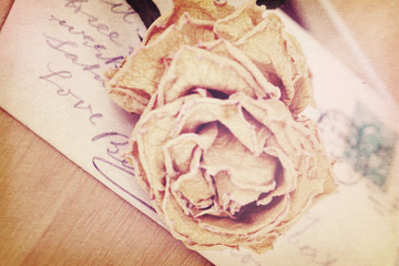 Close up of dry rose and old postcard. Soft light vintage style,