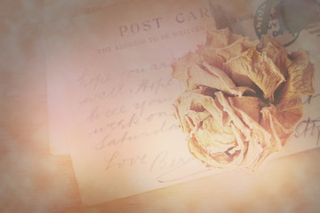 Dry rose and old postcard with handwritten. Soft light and flare