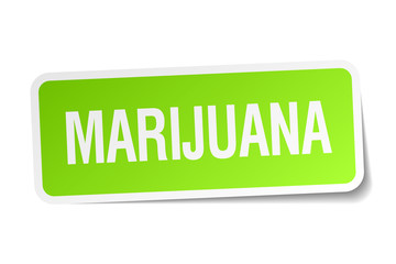 marijuana green square sticker on white background