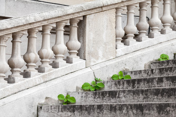 Fototapeta premium Small green plants grow through old stone stairs