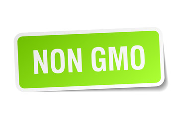 non gmo green square sticker on white background