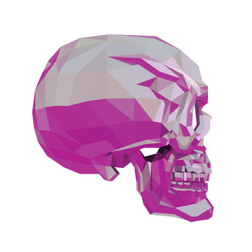 Christals skull . Vector illustration