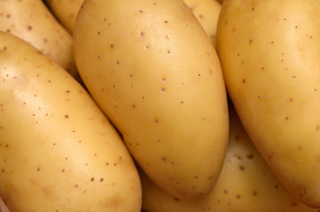 Raw Potatoes, close-up, shallow DOF