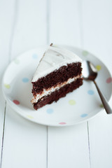 Chocolate cake in white plate on wooden table